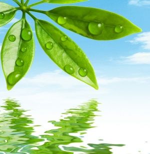 Tranh dán tường 3D t3m-3d2017-35