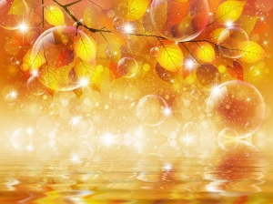 Trang dán tường 3D t3m-3d2017-360