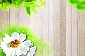 Tranh dán tường 3D t3m-3d2017-257