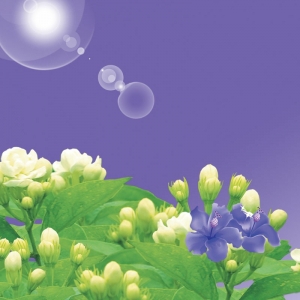 Tranh dán tường 3D t3m-hv3d-162