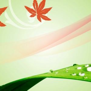 Tranh dán tường 3D t3m-hv3d-179