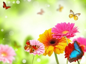 Tranh dán tường 3D t3m-hv3d-31