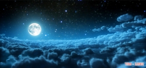 Tranh dán tường bể cá t3m-12002-demo