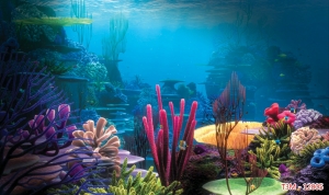 Tranh dán tường bể cá t3m-12005-demo