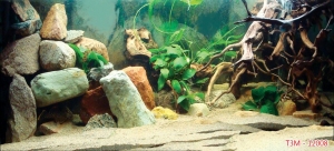 Tranh dán tường bể cá t3m-12008-demo