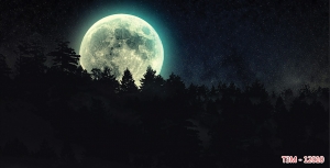 Tranh dán tường bể cá t3m-12010-demo