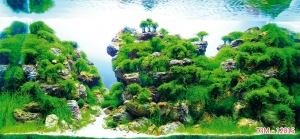 Tranh dán tường bể cá t3m-12015-demo