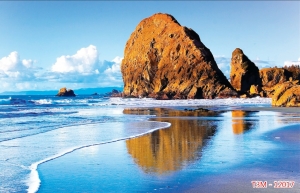 Tranh dán tường 3D t3m-12017-demo