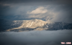 Tranh dán tường bể cá t3m-12018-demo