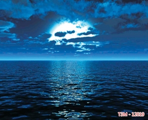 Tranh dán tường 3D t3m-12019-demo