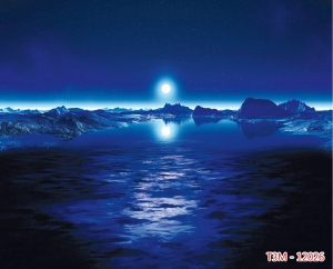 Tranh dán tường bể cá t3m-12026-demo