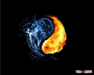 Tranh dán tường bể cá t3m-12073-demo