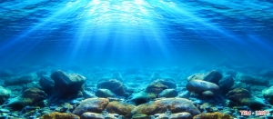 Tranh dán tường bể cá t3m-12077-demo