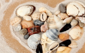 Tranh dán tường bể cá t3m-1566-copy