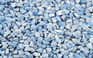 Tranh dán tường bể cá t3m-2016-copy