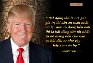 Tranh dán tường danh nhân t3m-56362