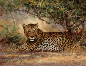 Tranh dán tường 3D động vật 