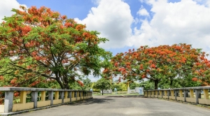 Tranh dán tường 3D đường phố t3m-240-copy